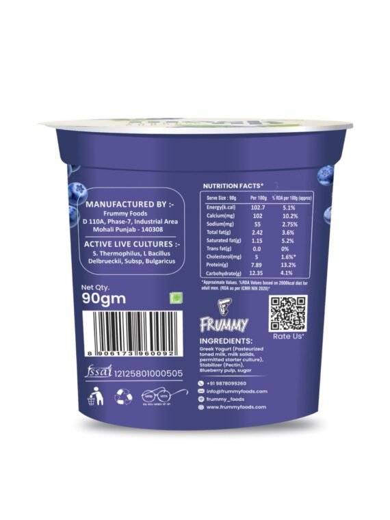 Blueberry Greek Yogurt