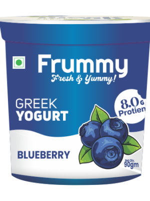 Blueberry Greek Yogurt